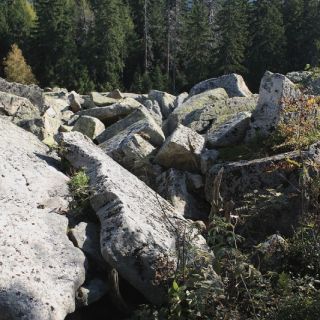 Blockhalde - Bergmassiv Platte in der ErlebnisRegion Fichtelgebirge